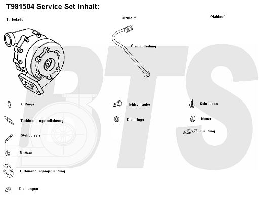 BTS TURBO Компрессор, наддув T981504